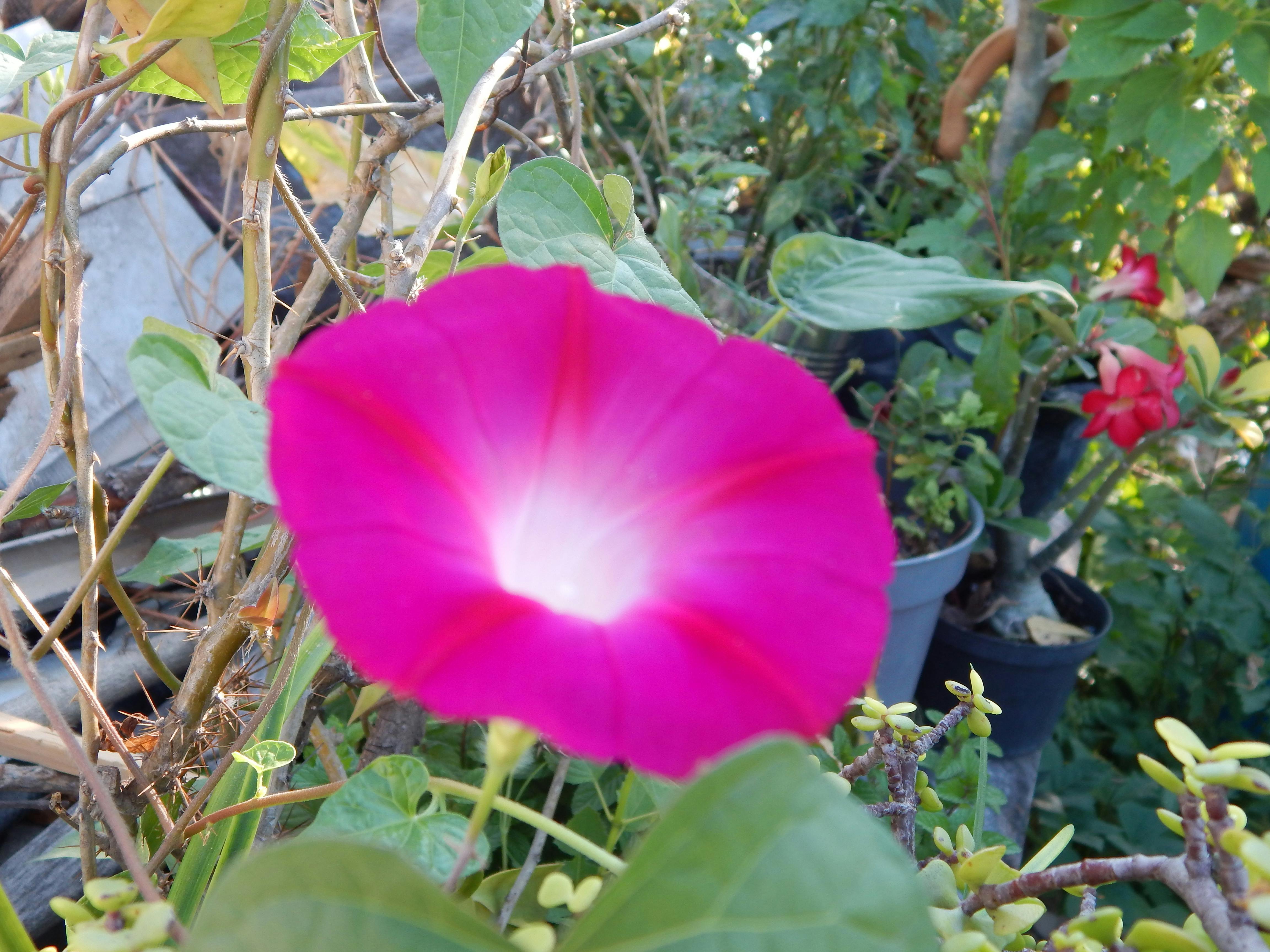 Workshop service illustration