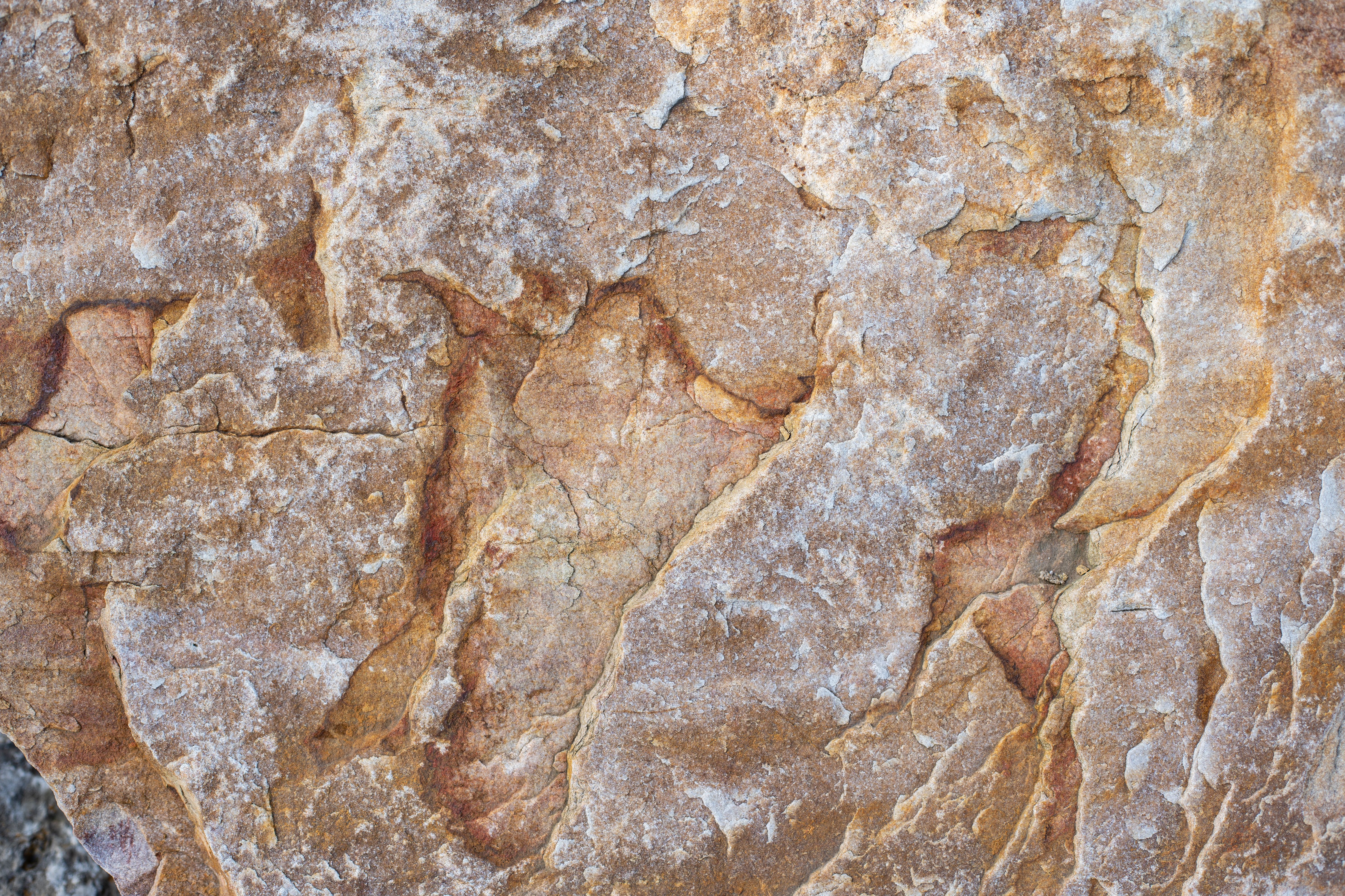 Core Natural Resources selected for DoE critical minerals grant