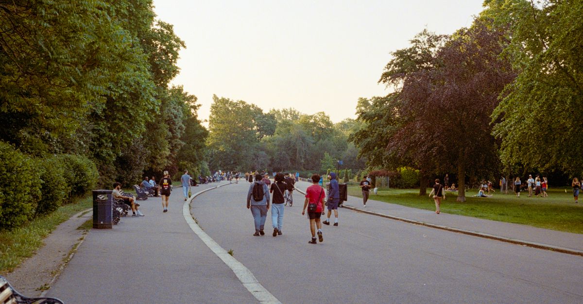 People walking along a green park pathway