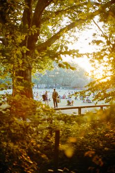 People enjoying a relaxing afternoon in a sunlit park with lush greenery.