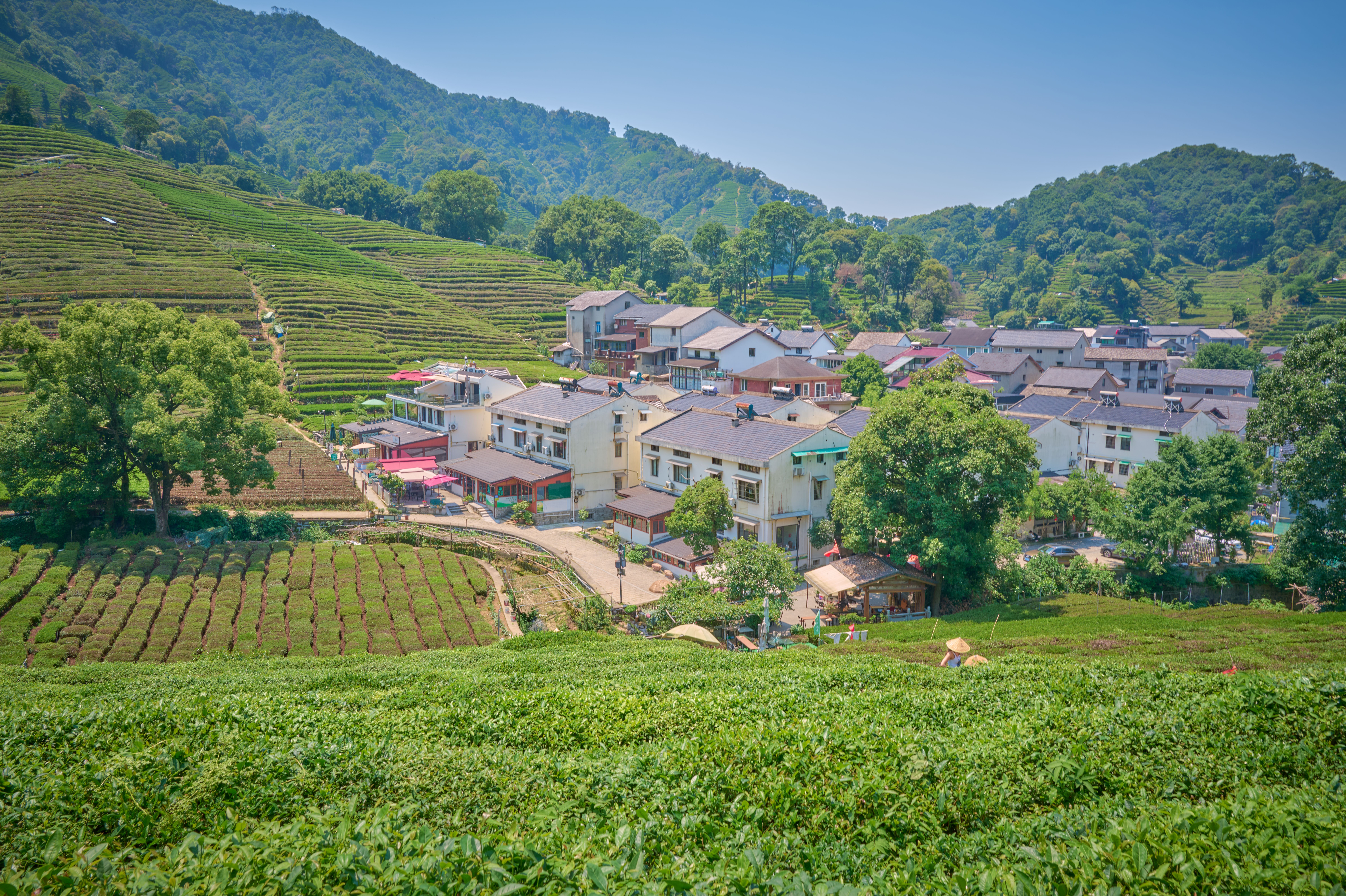 Hangzhou Longjing Tea Village — Getting to Longjing Village