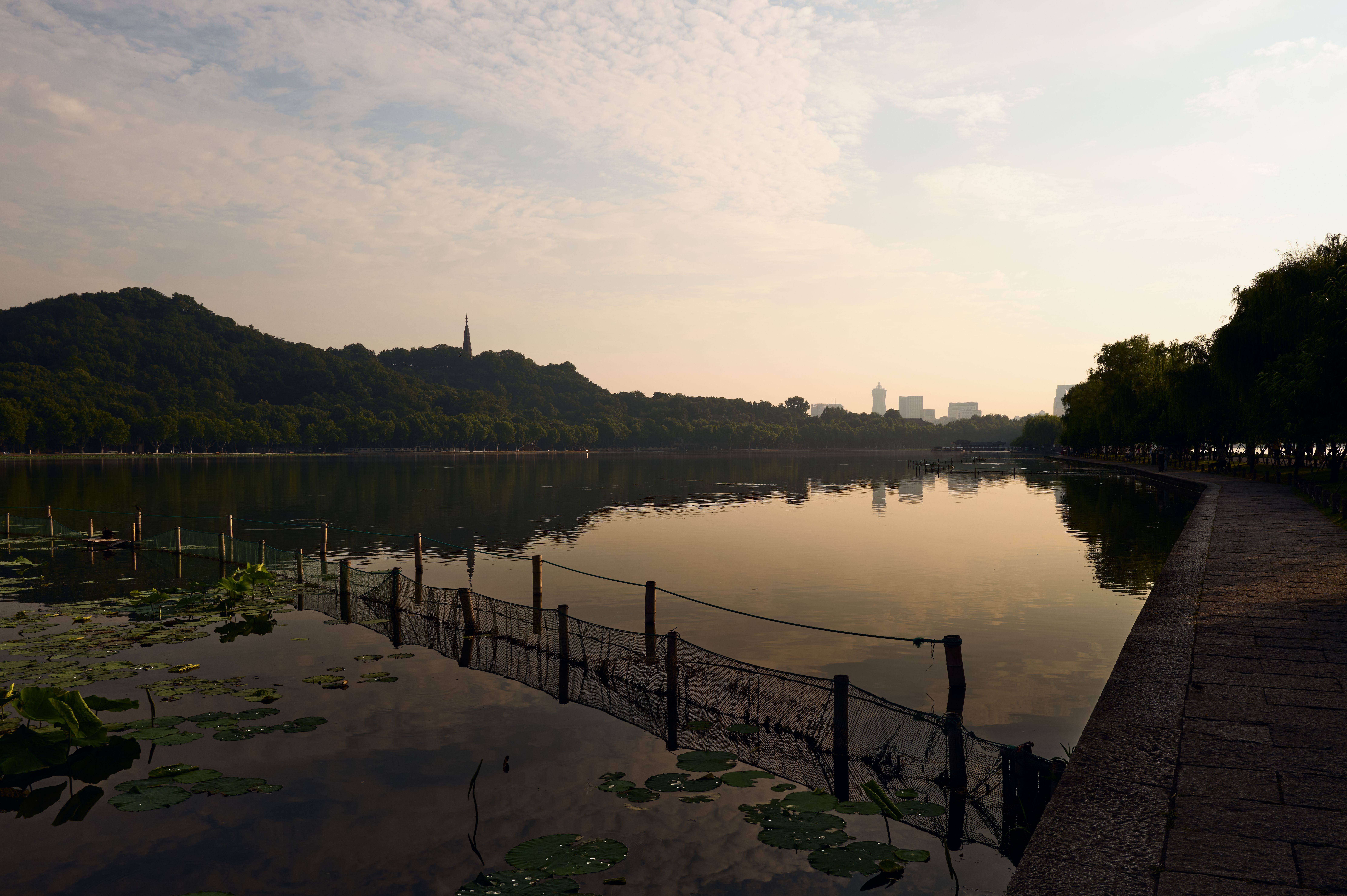 Hangzhou West Lake Travel Guide: Cycling, Tea Plantations & the Ten Scenes