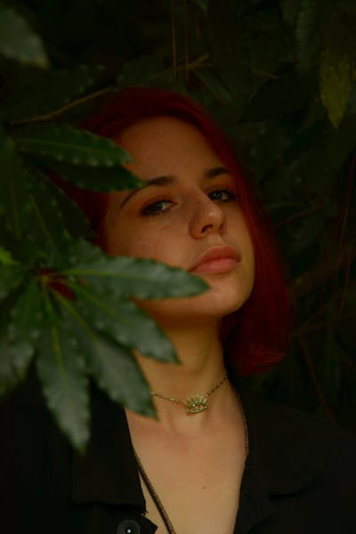 Sperm donor profile selection process