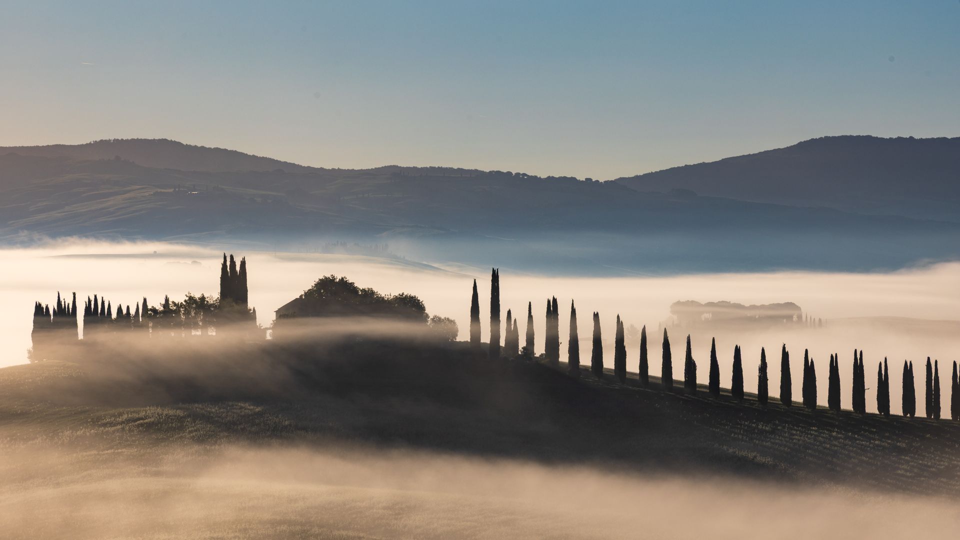 Cipreses sobre colinas onduladas con niebla en el Val d'Orcia, Toscana