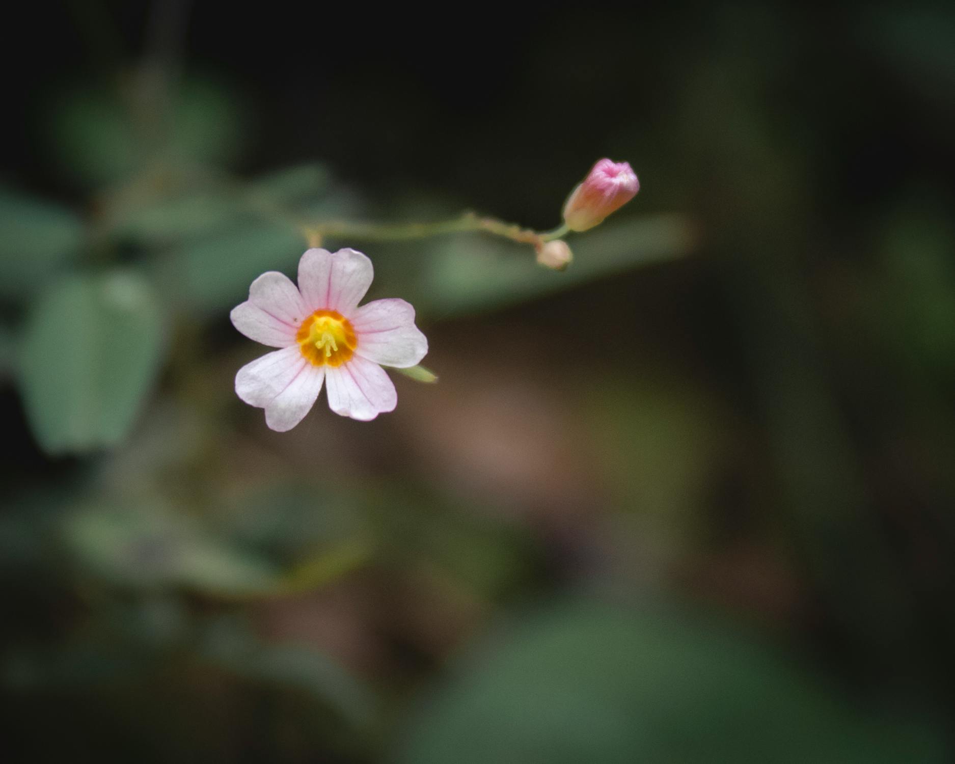 온도계를 바라보는 사람