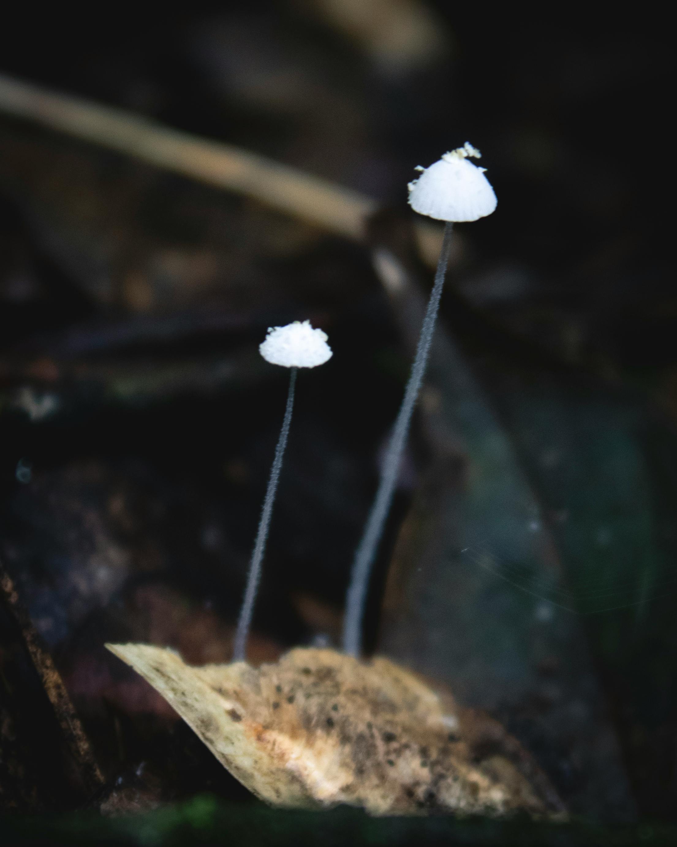 العمل الطويل