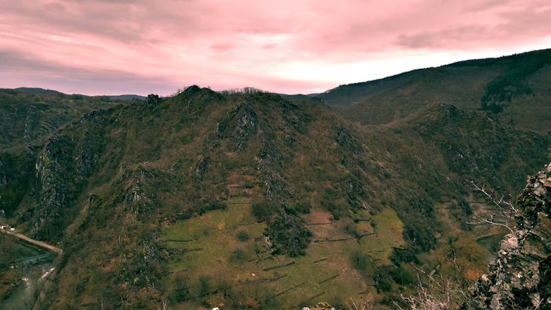 AMH test results with ovarian reserve explanation