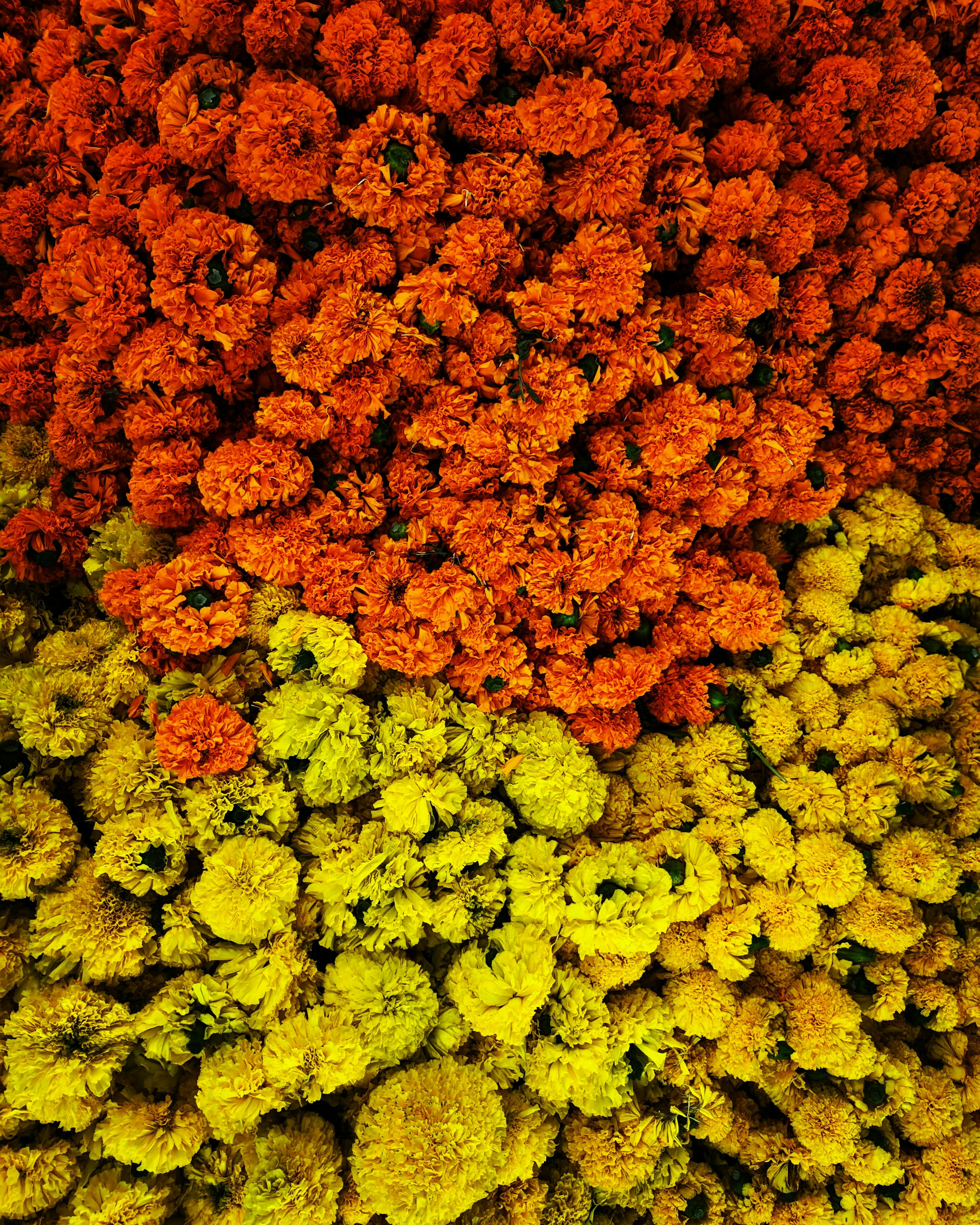 Person with emotional expression