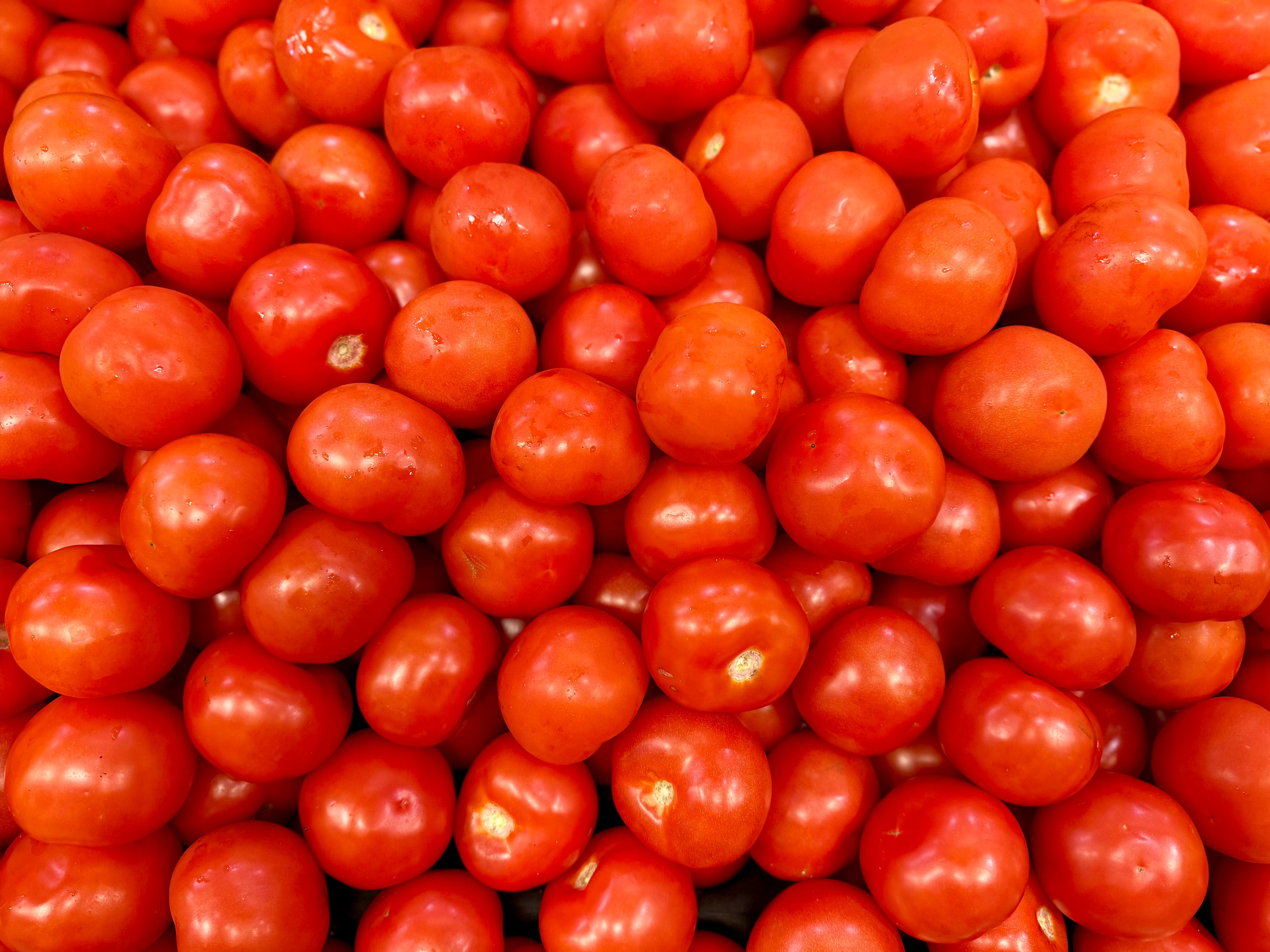 Hortifruti da Estação (kg)