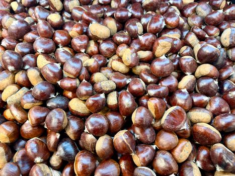 dark red brown chestnuts