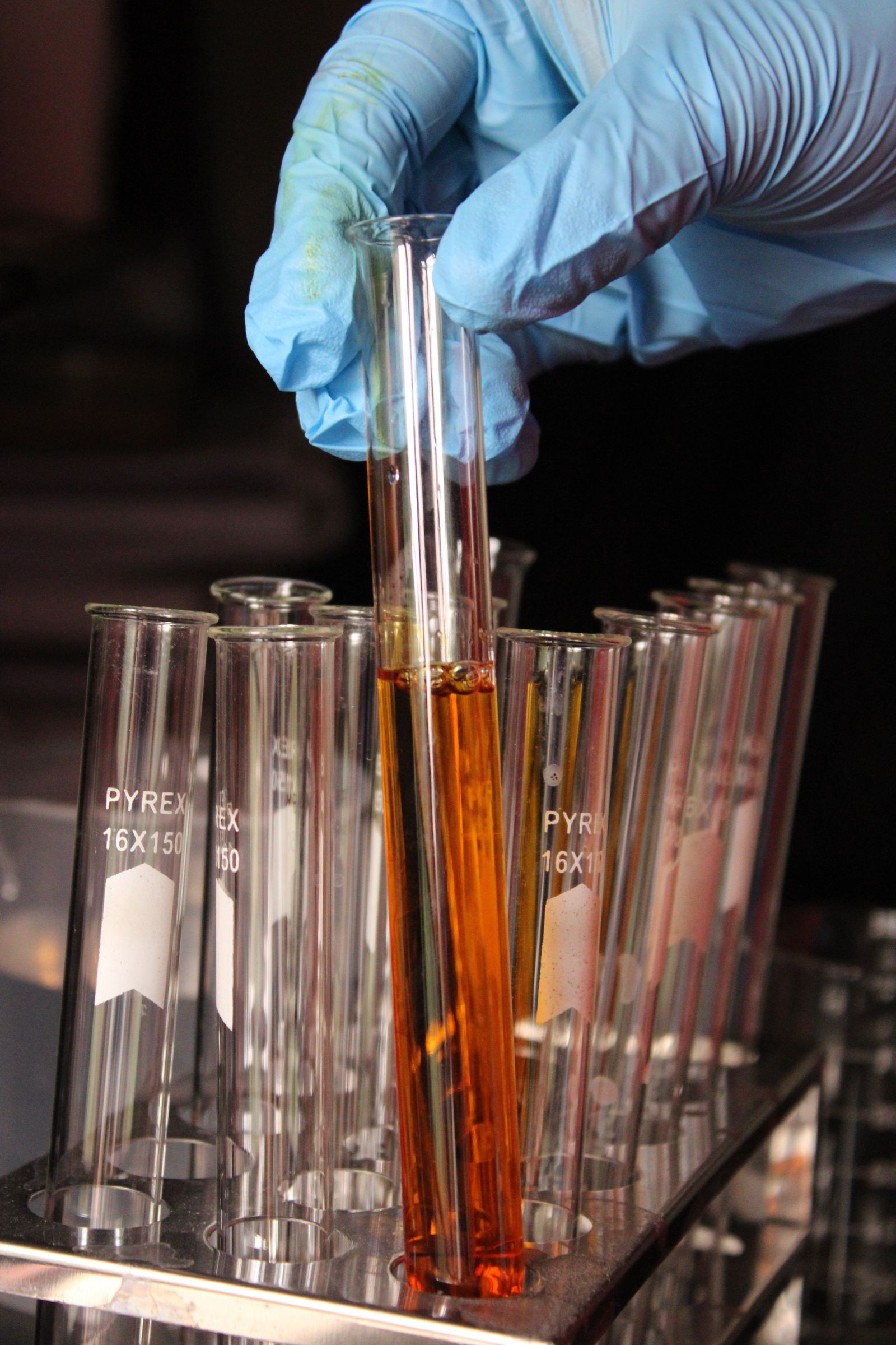 Laboratory professional using microscope