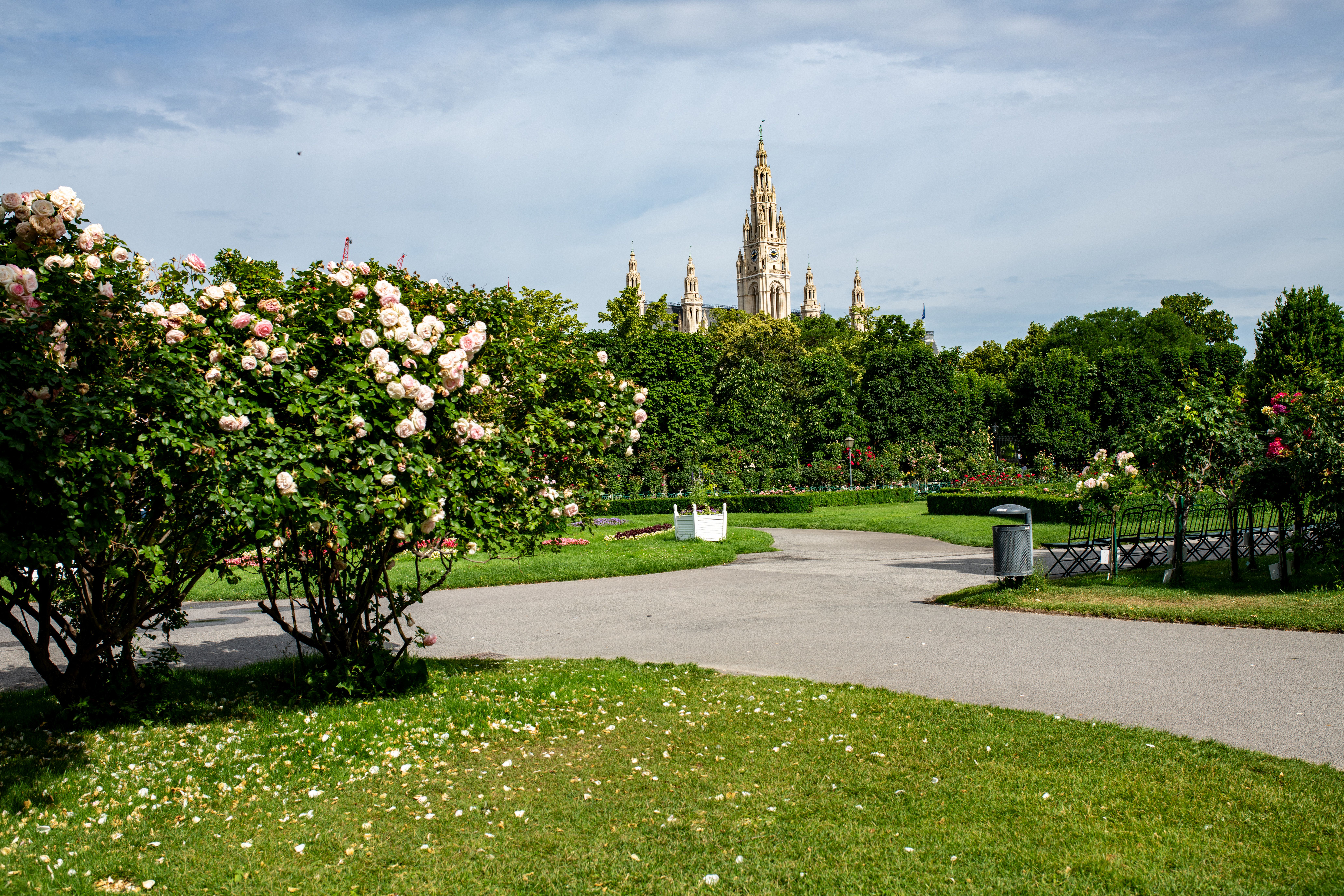 Walk the Park of Roses at peak bloom