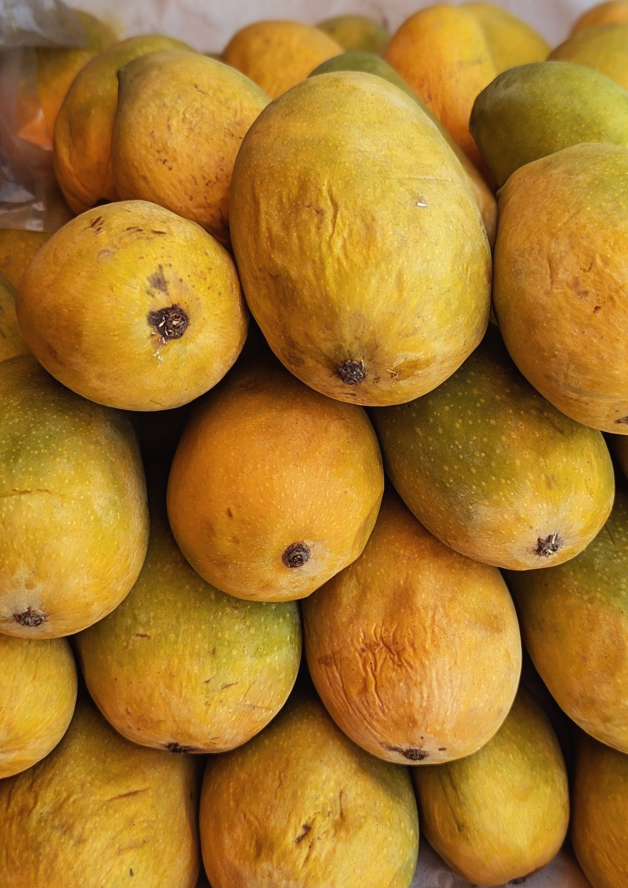 Close-up of ripe Alphonso mangoes in a market setting, showcasing vibrant yellow hues.