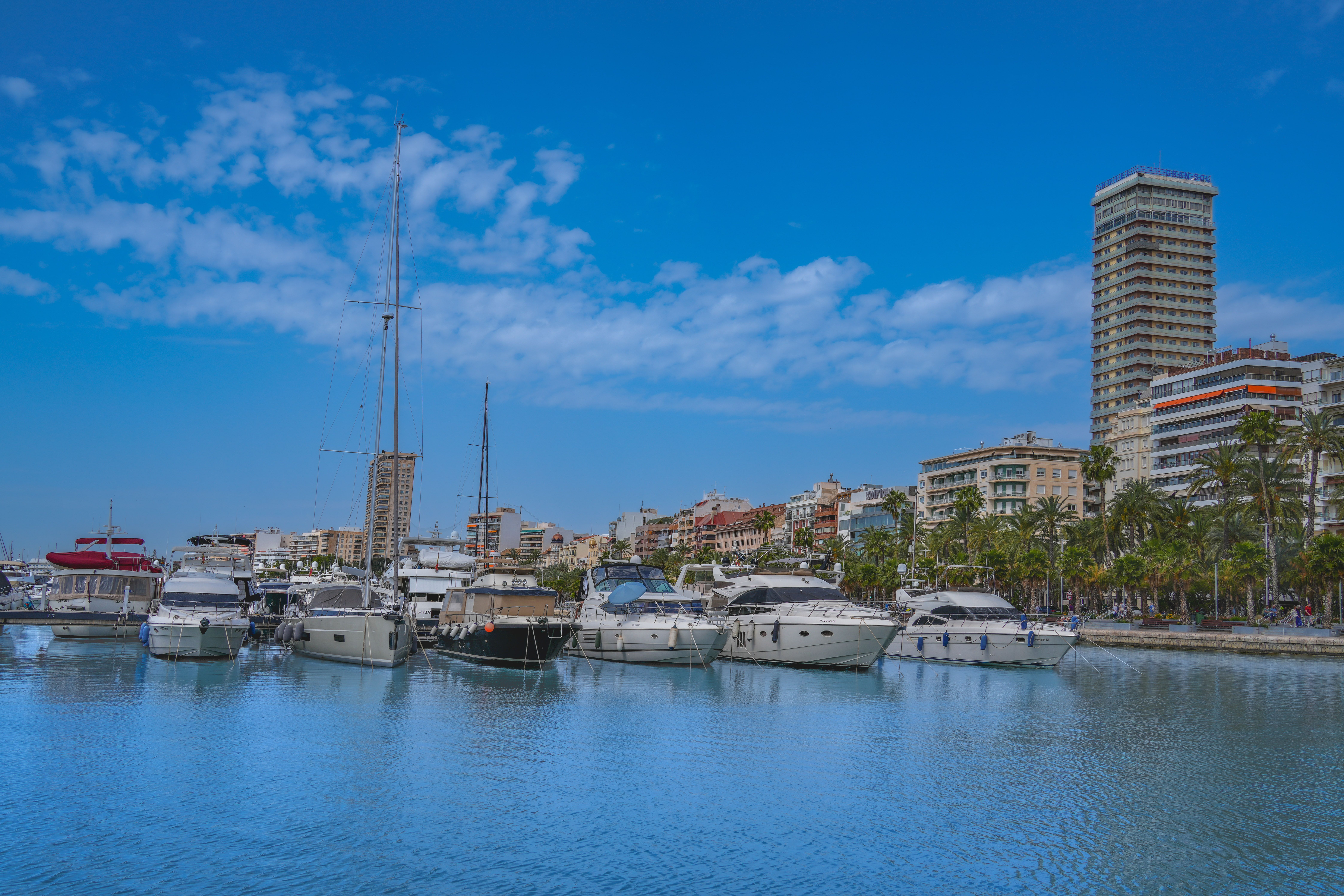 Amazing Sailing Yacht Trip from Maspalomas with free Drinks (Small Group) Review: A Peaceful Morning on Gran Canaria's Stunning Coast Review 2026 - Vibrant view of Alicante marina with yachts, palm trees, and city skyline under clear blue sky.