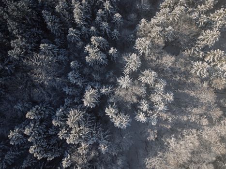 A stunning aerial view of a snowy forest in Bad Aussee, Austria during winter.