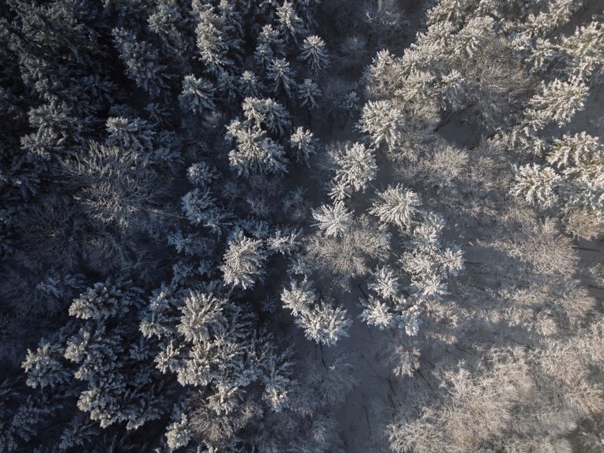 A stunning aerial view of a snowy forest in Bad Aussee, Austria during winter.