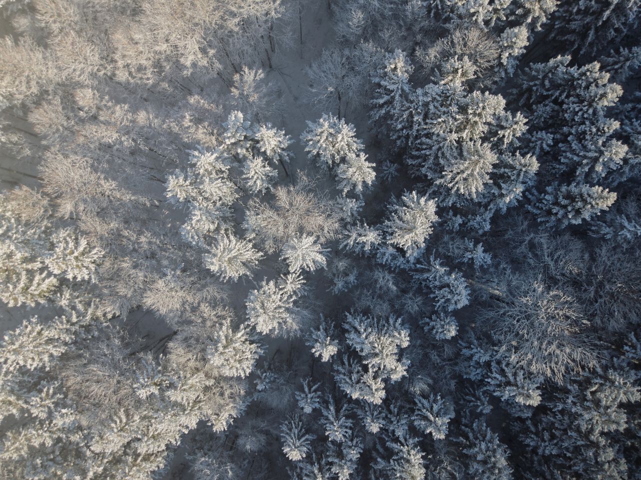 serene aerial view of a snow covered winter forest in bad aussee austr