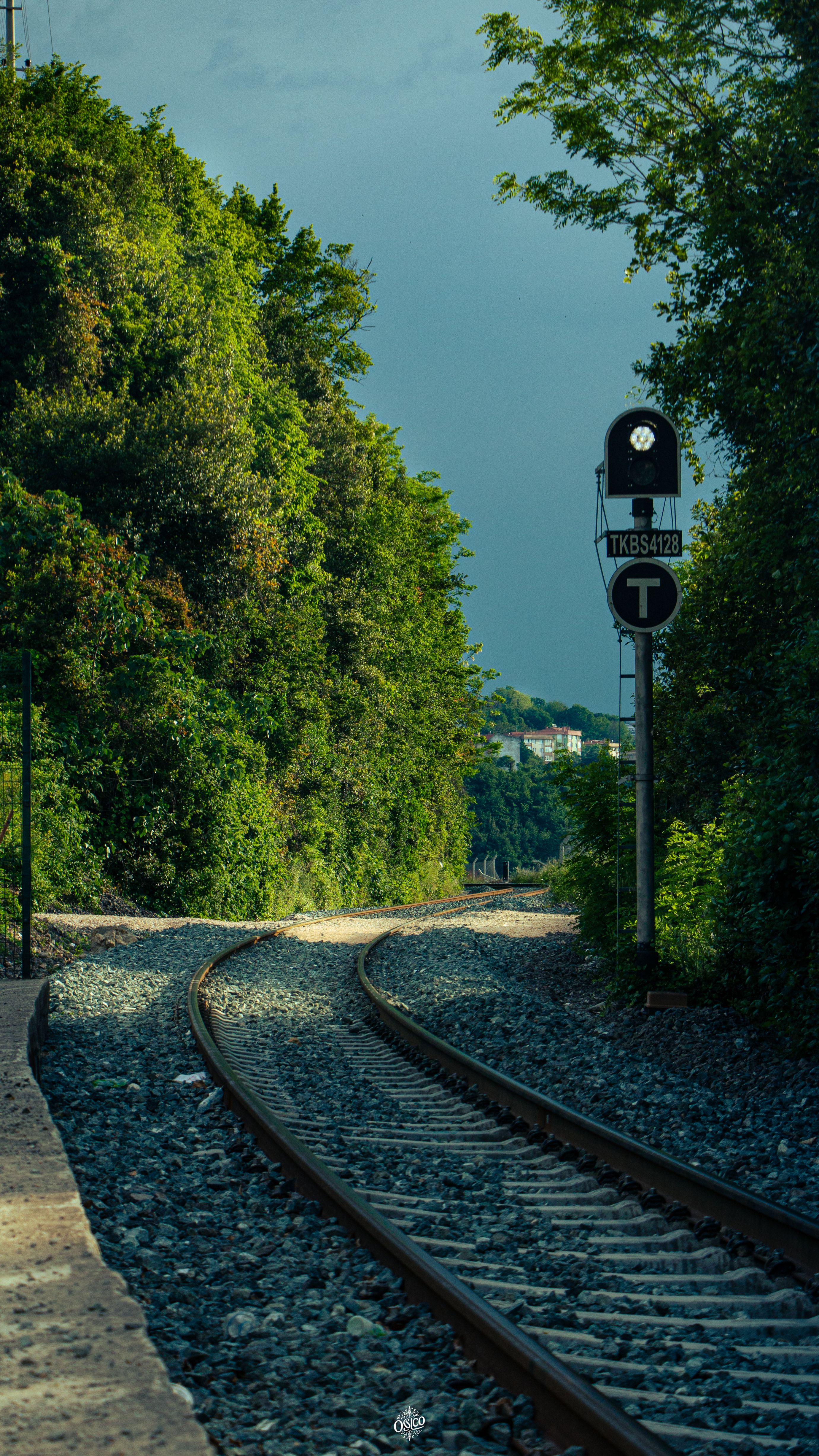 Dense forest envelops a serene railway curve with signal light in daylight.