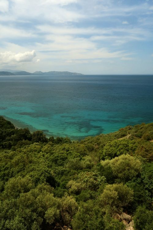 Free Breathtaking coastal landscape with lush greenery and clear blue ocean under a cloudy sky. Stock Photo