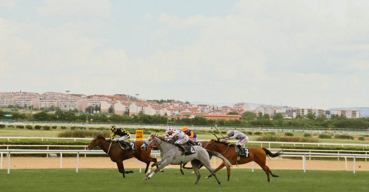 Las raíces antiguas de las tradiciones deportivas modernas Las raíces antiguas de las tradiciones deportivas modernas