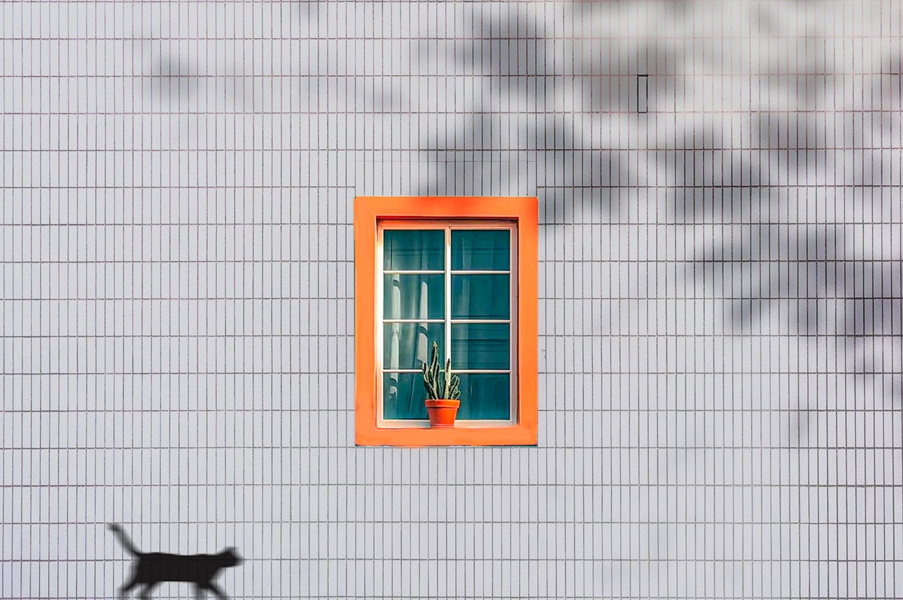 Minimalist sunlit exterior with a vibrant orange window, a cactus and a cat silhouette — photo by sanynjez gao on Pexels