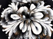 White and Black Abstract Stains of Paint
