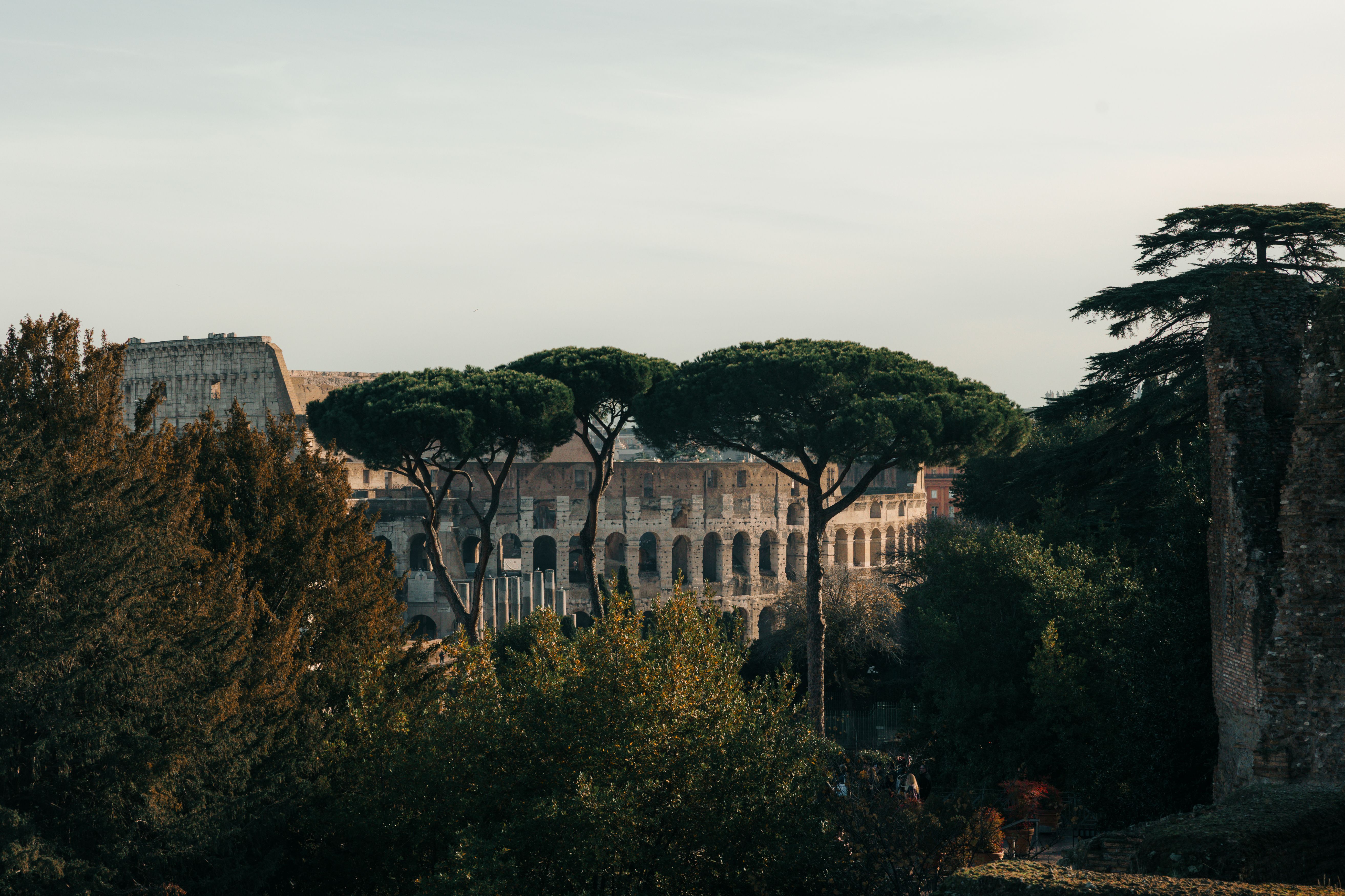 A beautiful daytime view of the Colosseum in Rome surrounded by lush greenery.