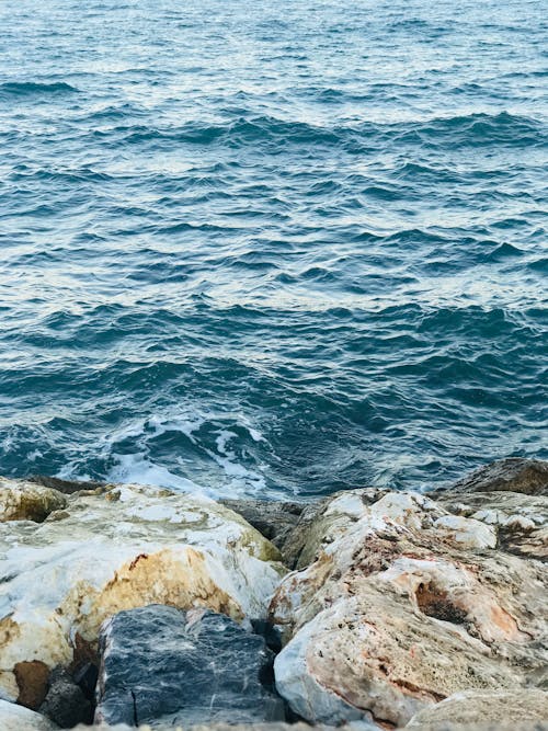 澄んだ水で洗った岩の多い海岸