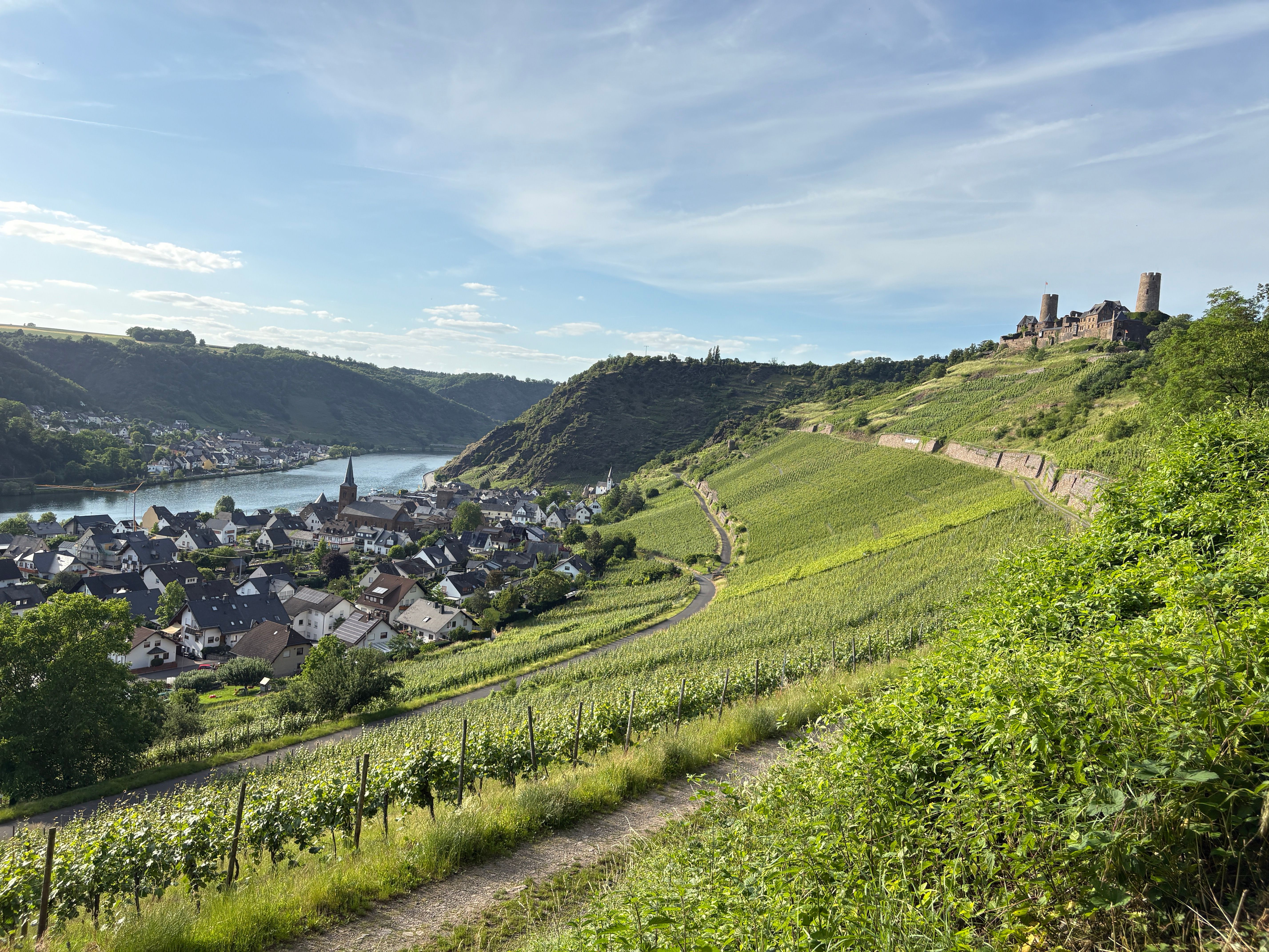 Bacharacher Hahn Vineyard Trail