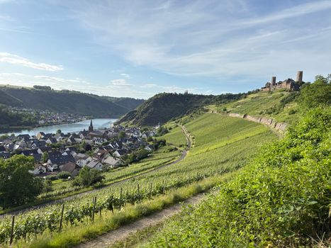 Capture of Boppard with vineyards and historic castles overlooking the Rhine on a sunny day.