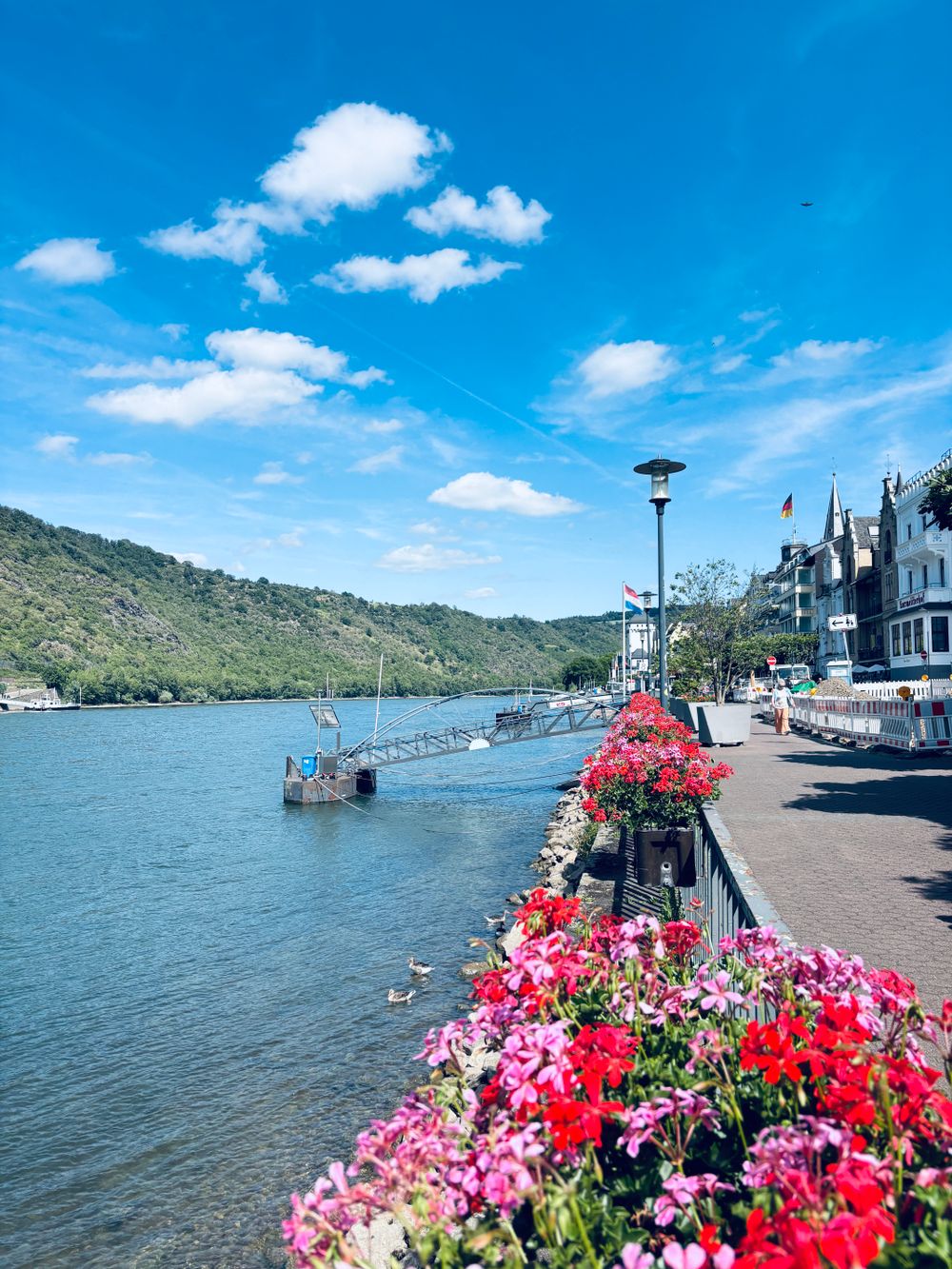 Rhine Valley & Rüdesheim Wine Cruise