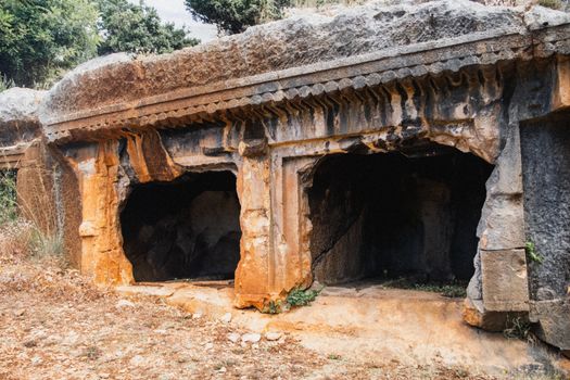 Explore ancient rock-cut tombs nestled in a serene forest setting under the daylight.