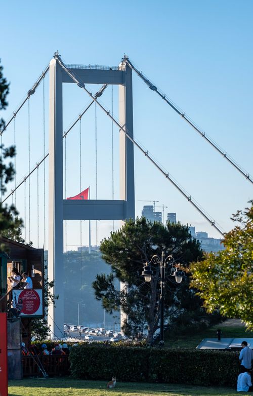 Free View of the Bosphorus Bridge in Istanbul with surrounding greenery and cityscape. Stock Photo