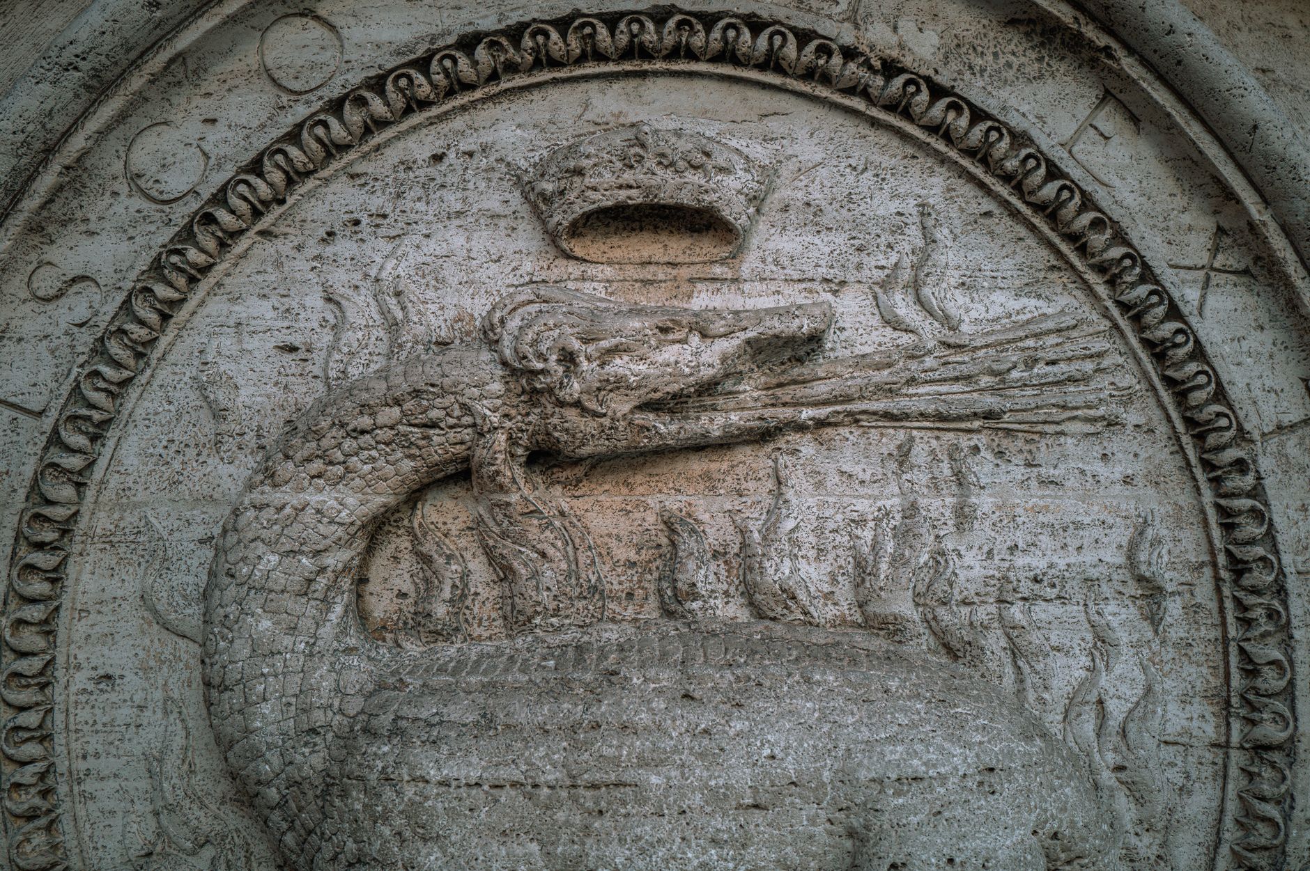 Ancient rooster relief beside weathered manuscripts in a South Asian museum, warm light and scholarly atmosphere