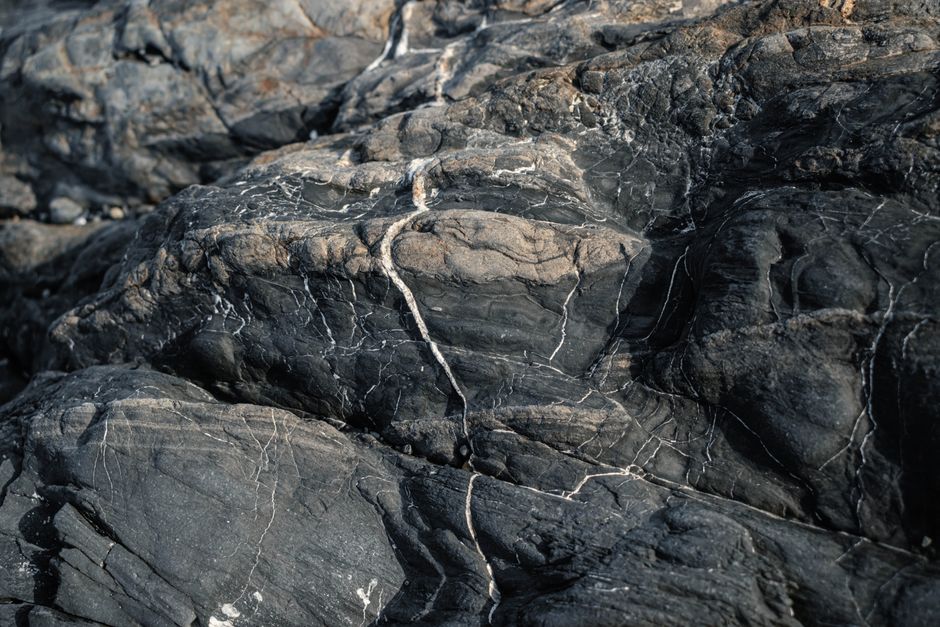 A close-up of a textured rock surface displaying intricate veins in natural light.
