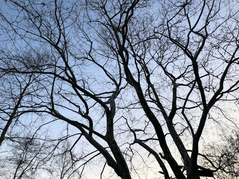 Business owner facing multiple difficult decision paths and crossroads simultaneously