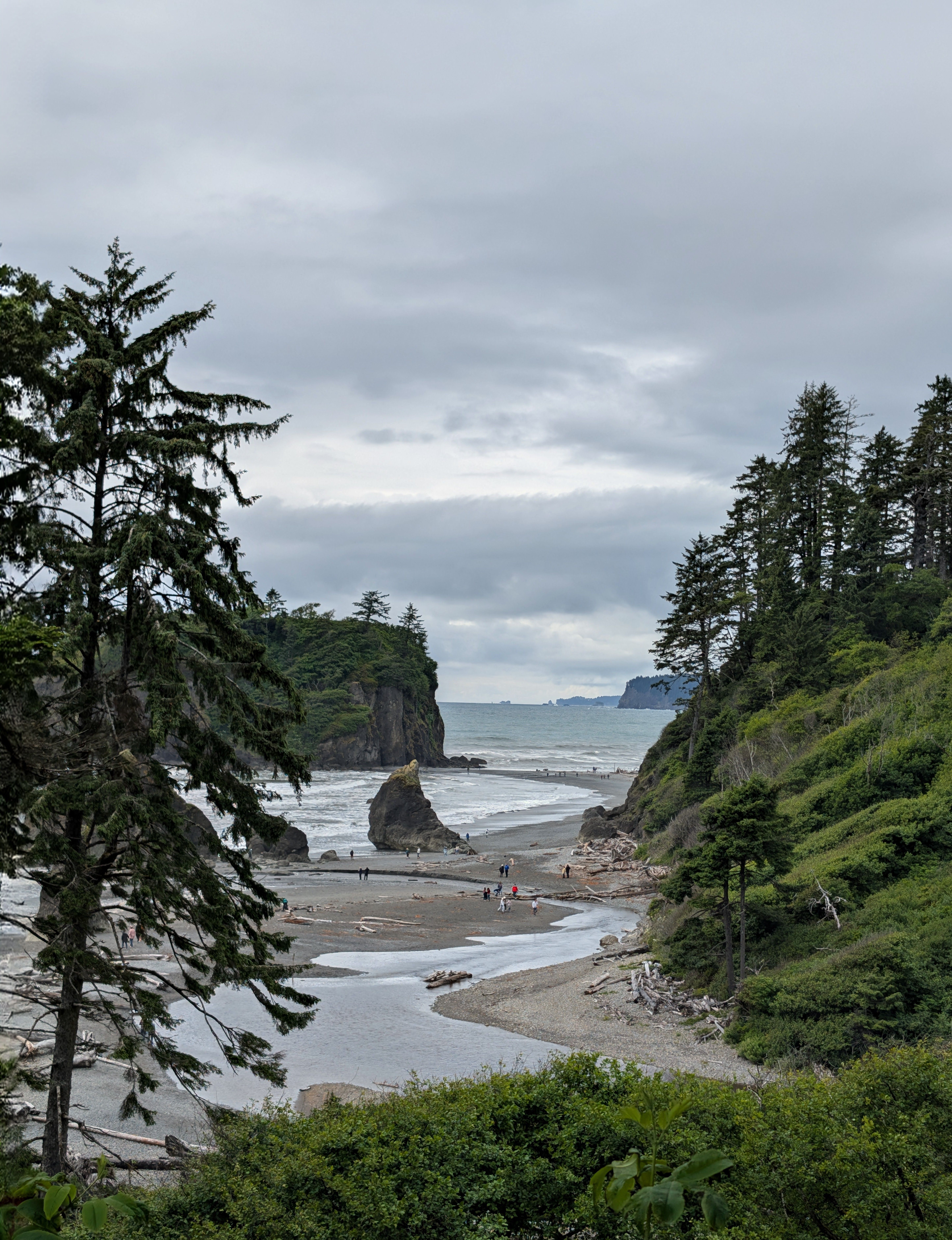 Rugged Pacific coastline with sea stacks, driftwood, and evergreen forest along the West Coast Trail