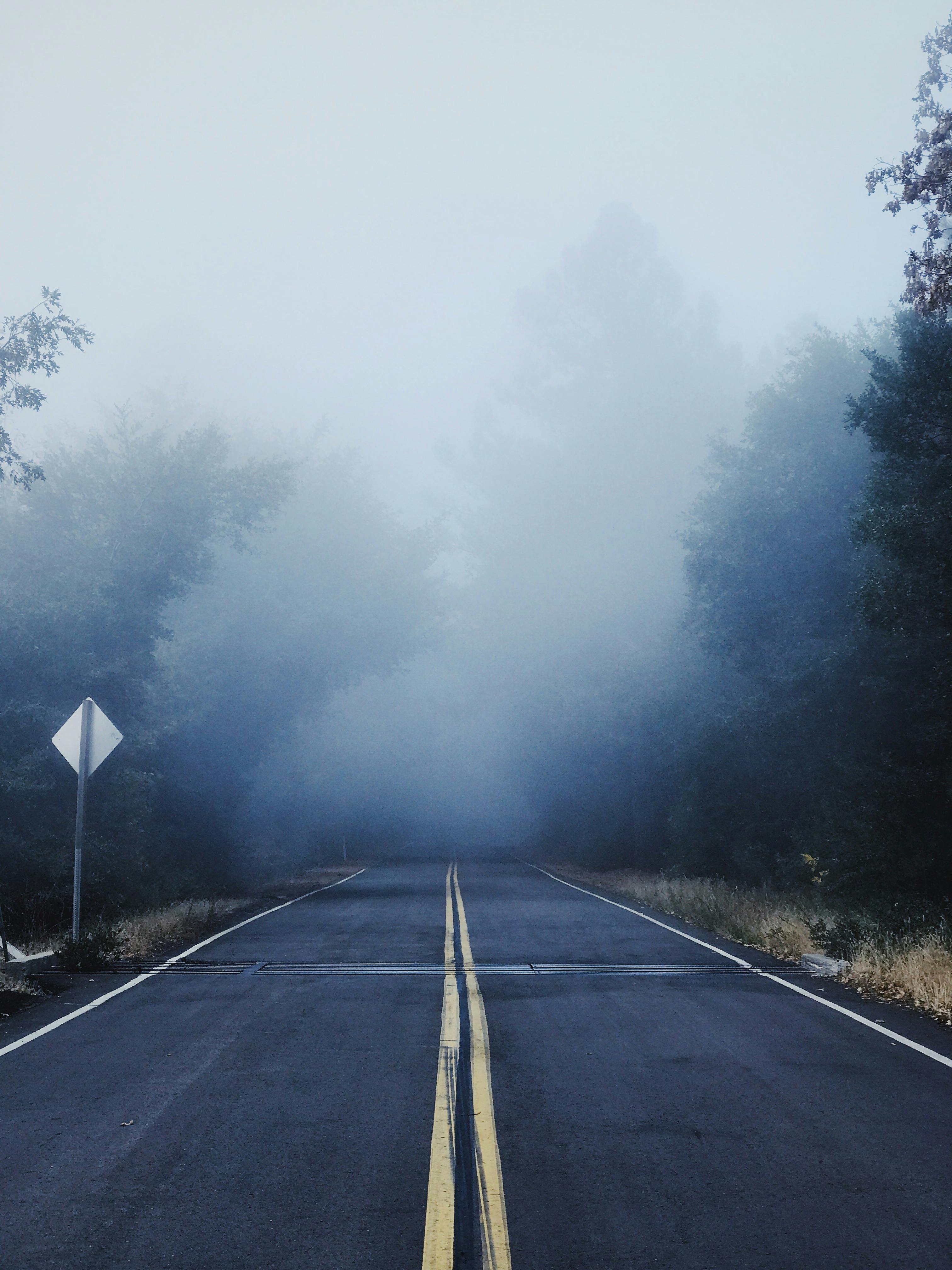 gray concrete road between trees covered with fog samsung phone service store brisbane  your go-to destination for specialist solutions Samsung Phone Service Store Brisbane  Your Go-To Destination for Specialist Solutions pexels photo 3808853