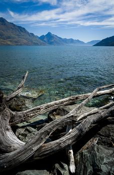 Breathtaking view of Lake Wakatipu with driftwood in foreground and mountain range in the background.