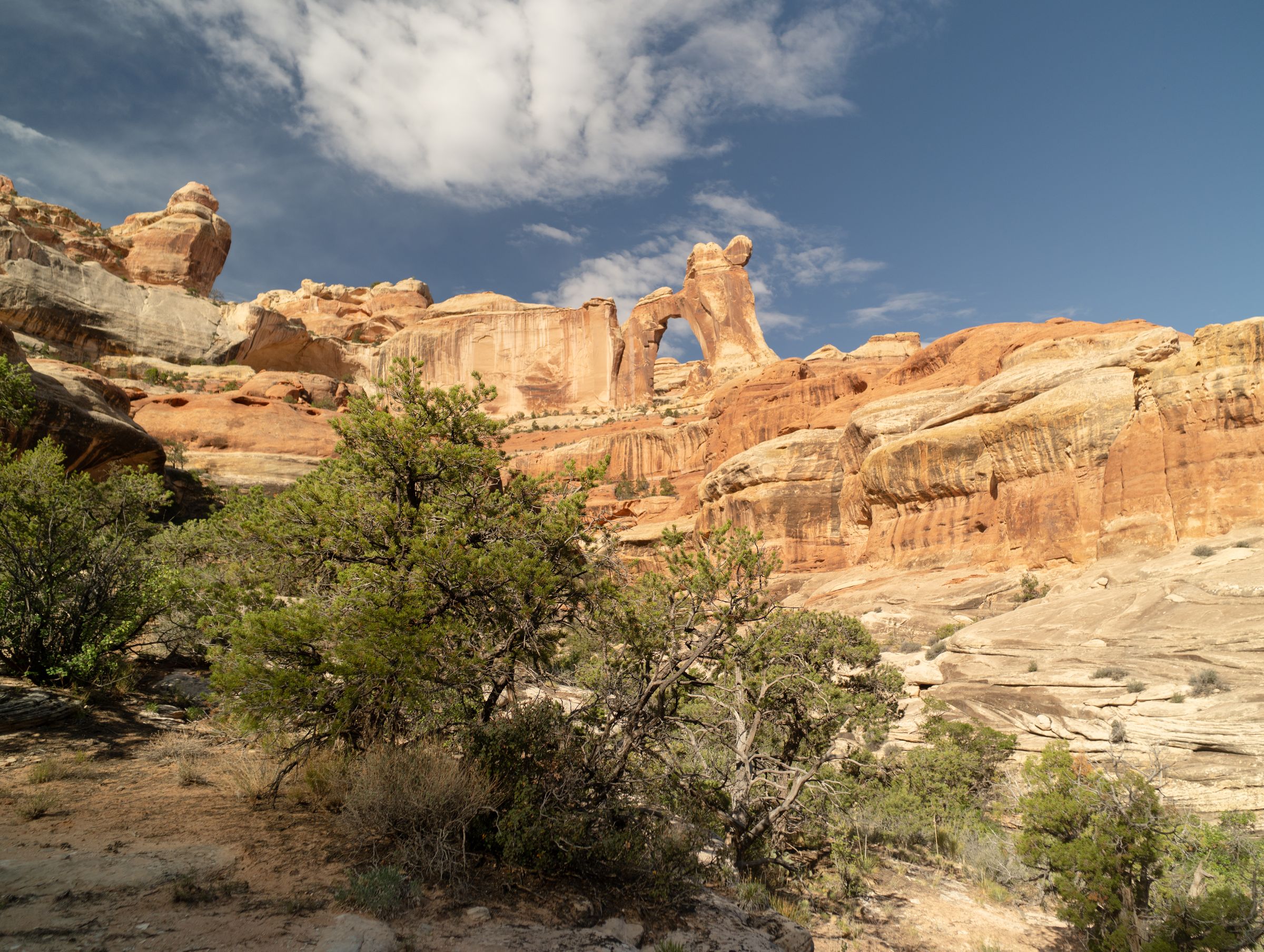 $1.2 billion keeps BLM’s land office running