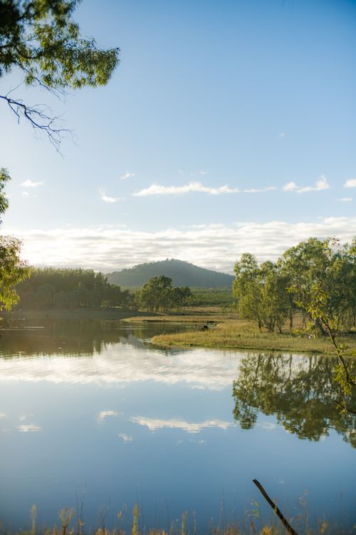 Free A peaceful lake reflecting the sky and trees under a clear blue sky. Stock Photo