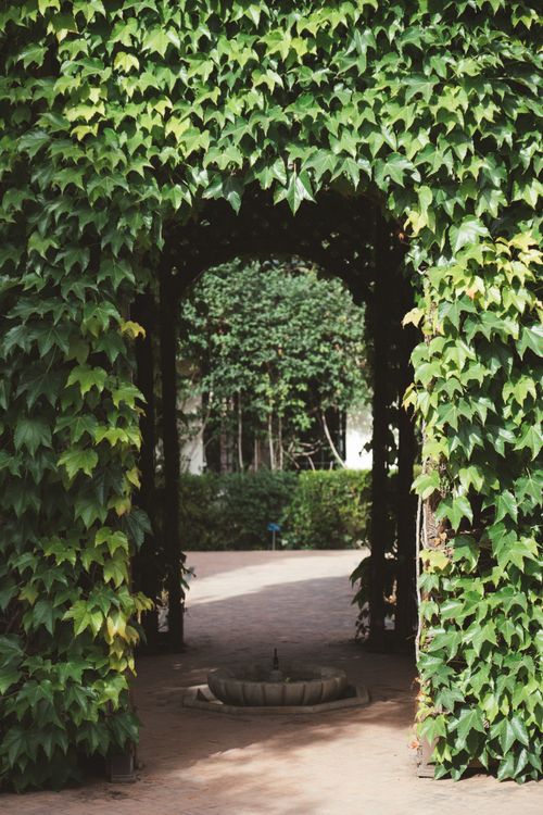 Free Charming garden archway covered with lush green ivy, featuring a small fountain. Stock Photo