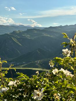 Breathtaking view of lush mountains and wildflowers under a clear blue sky.
