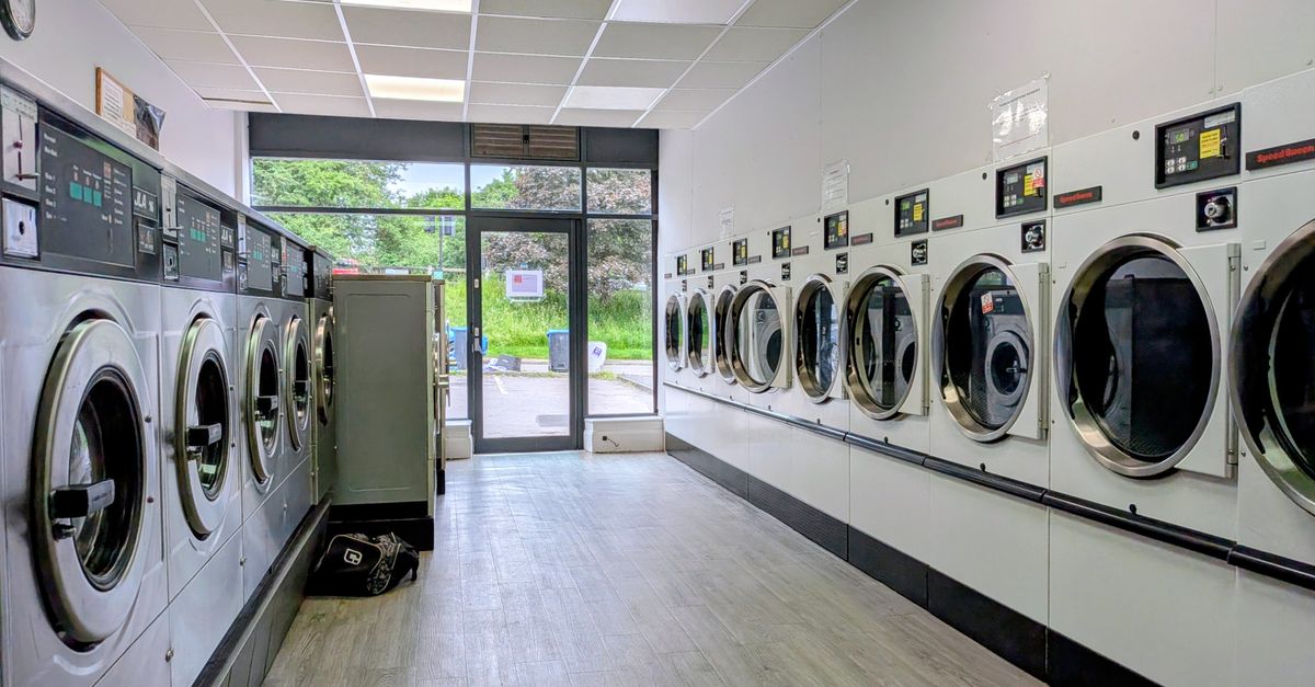 Spacious and clean laundromat with rows of washing machines, view of greenery outside.