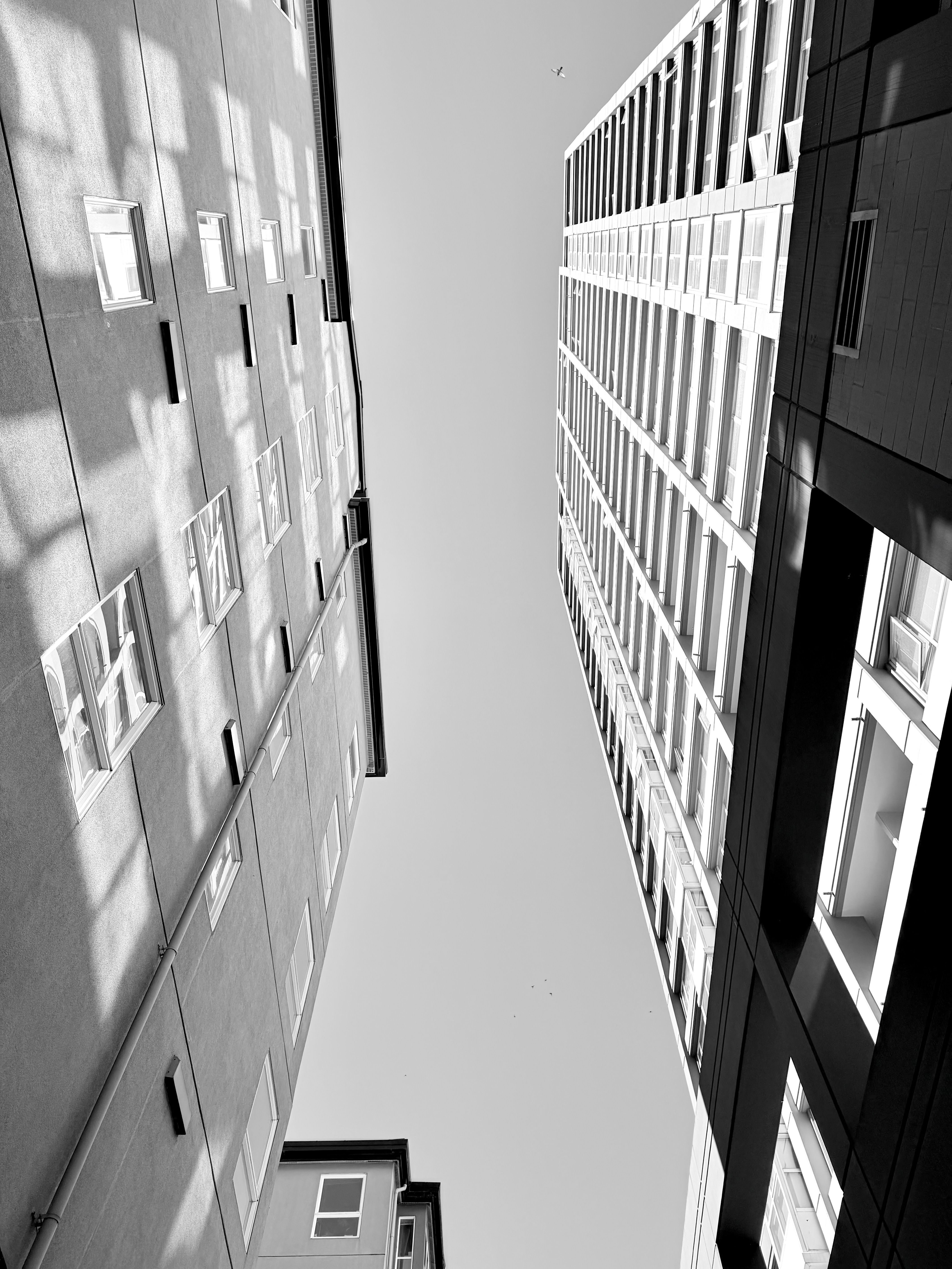 Dramatic black and white perspective of tall modern buildings from below.
