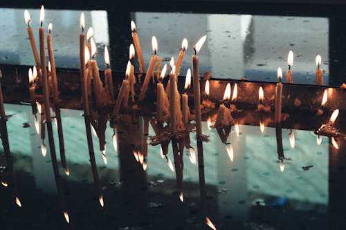 Free Close up of Burning Candles Stock Photo