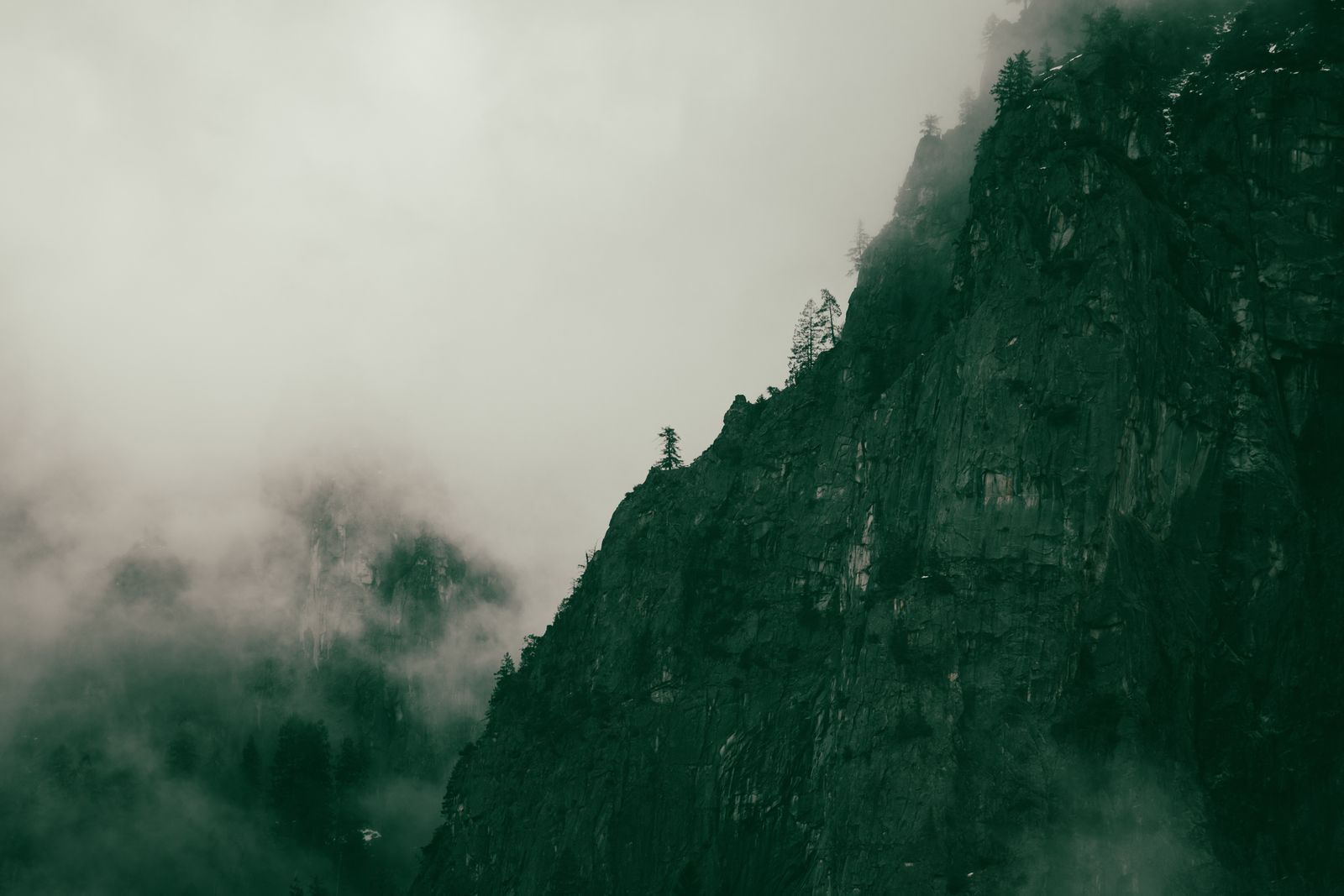 A misty mountain cliff dissolving into fog — photo by princess on Pexels