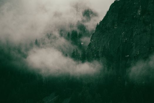 Atmospheric scene of a misty mountain enveloped in dense fog, creating a mysterious and moody ambiance.