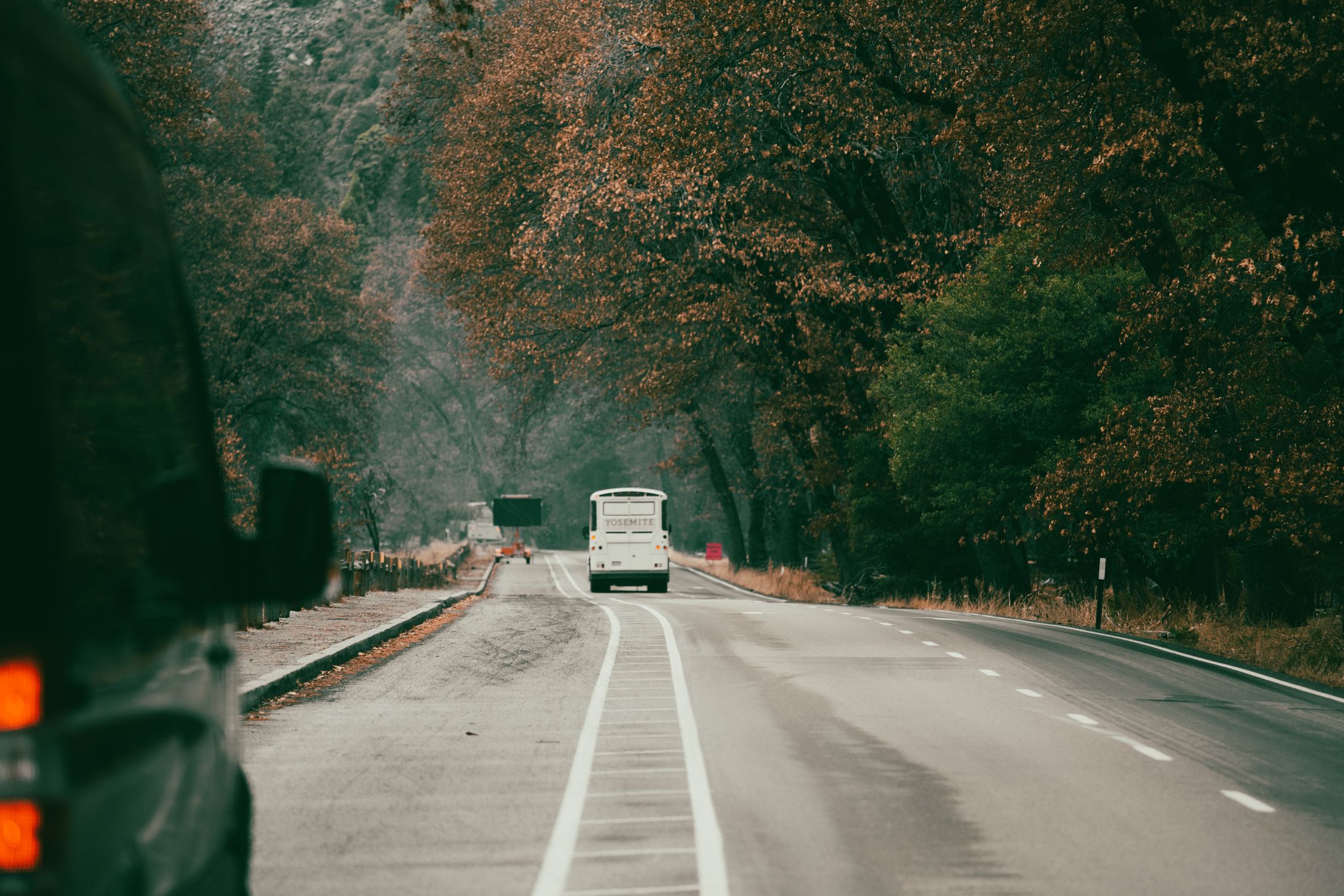 A scenic autumn road in Yosemite National Park with colorful foliage and a bus.