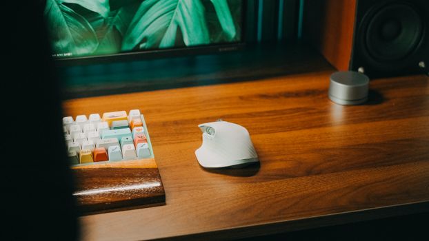 Stylish desktop setup featuring a colorful keyboard and sleek mouse on a wooden desk.